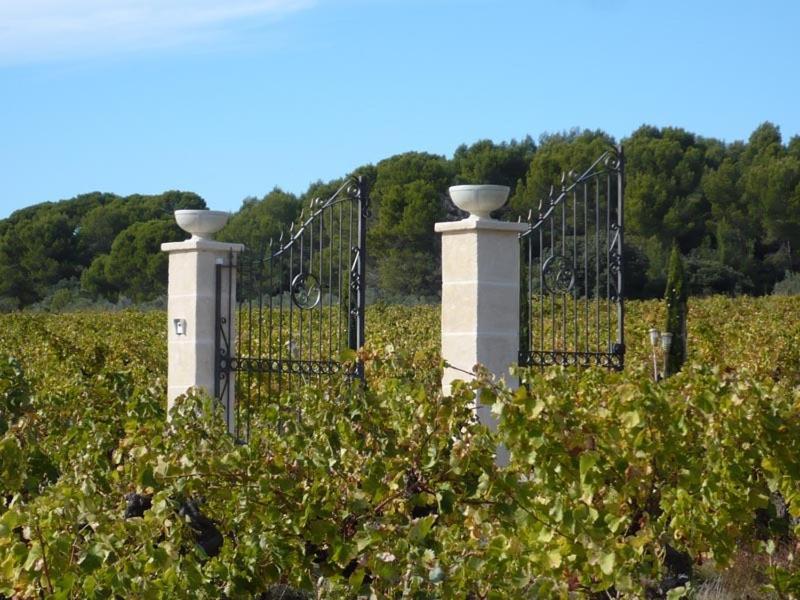 Chateau De Valloubiere Saint-Jean-de-Fos Exteriér fotografie